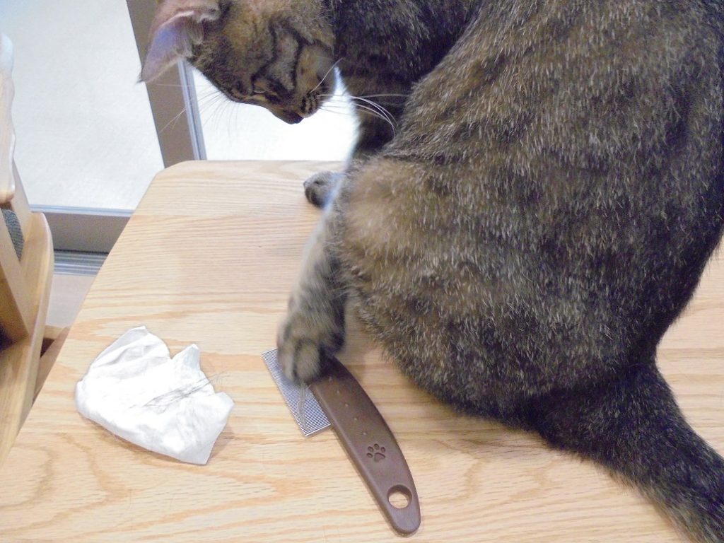 ６月なのに…☀