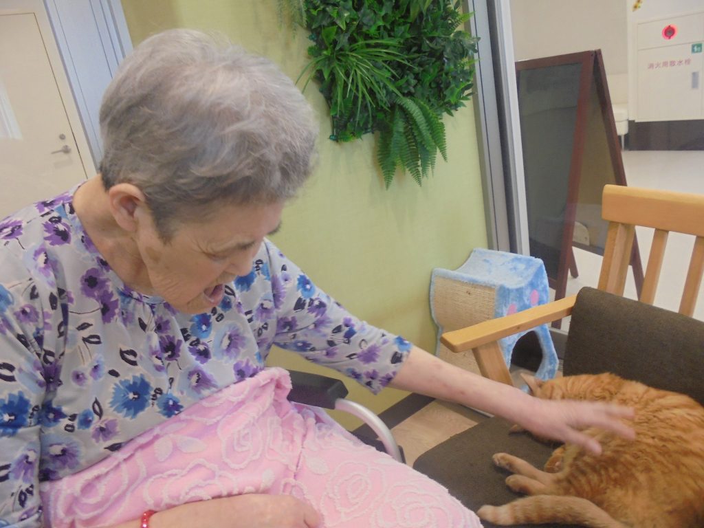 しまくん大人気！！