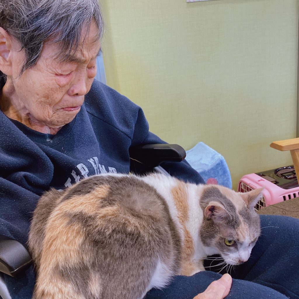 ふうちゃん無双