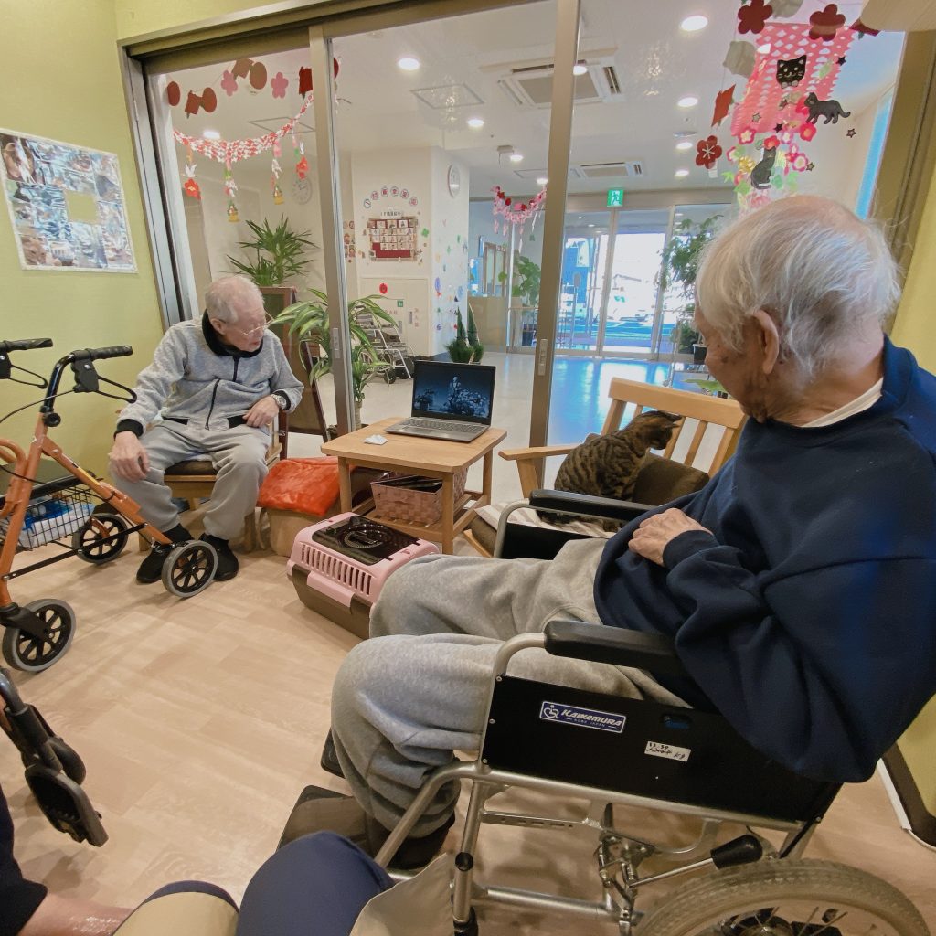 ねこ日記　1月7日