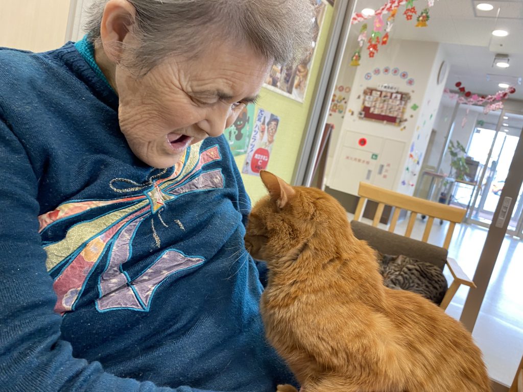 ねこ日記　～一年～