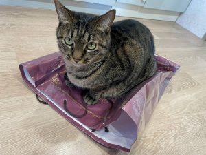 ふれあい広場ギャラリー😊　まめくん編