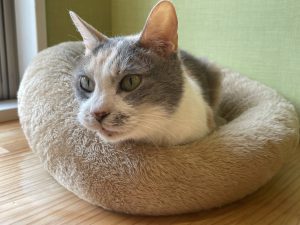 ふれあい広場ギャラリー😊　　　ふうちゃん編