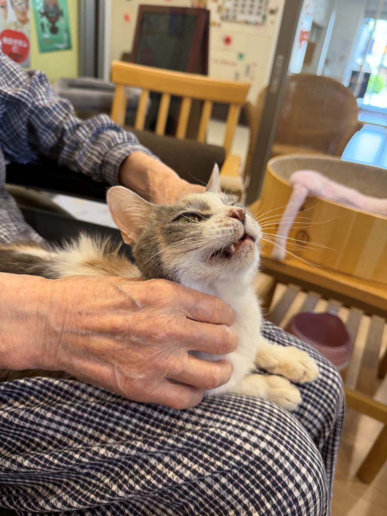 猫ちゃん日記😊09